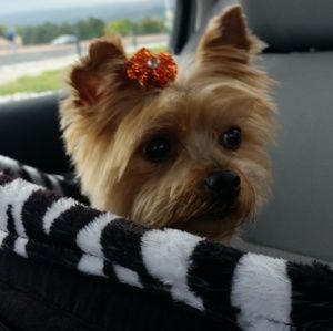 Meet your Posher, Charlene